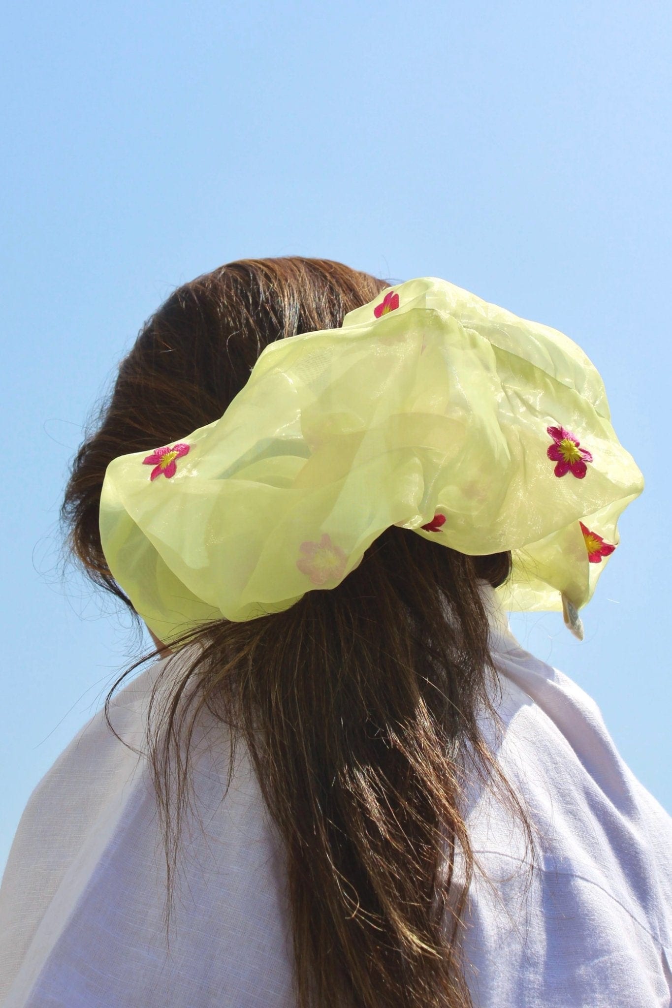 Barkis Scrunchie - Ted Ferde