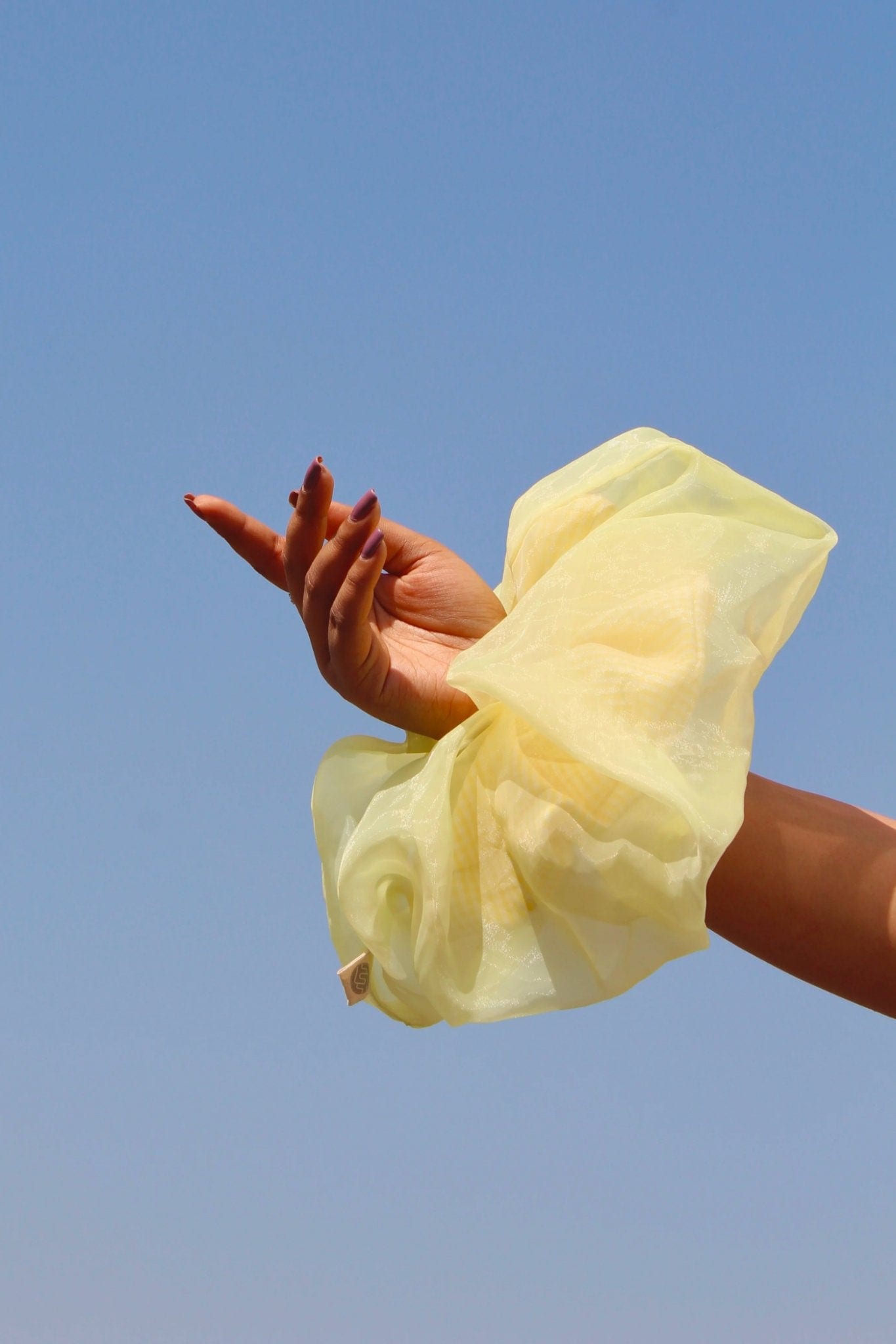 Beacon Scrunchie - Ted Ferde