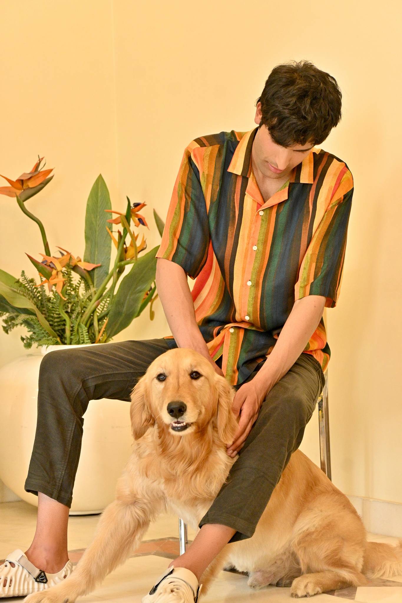 Calico Stripe Shirt - Ted Ferde