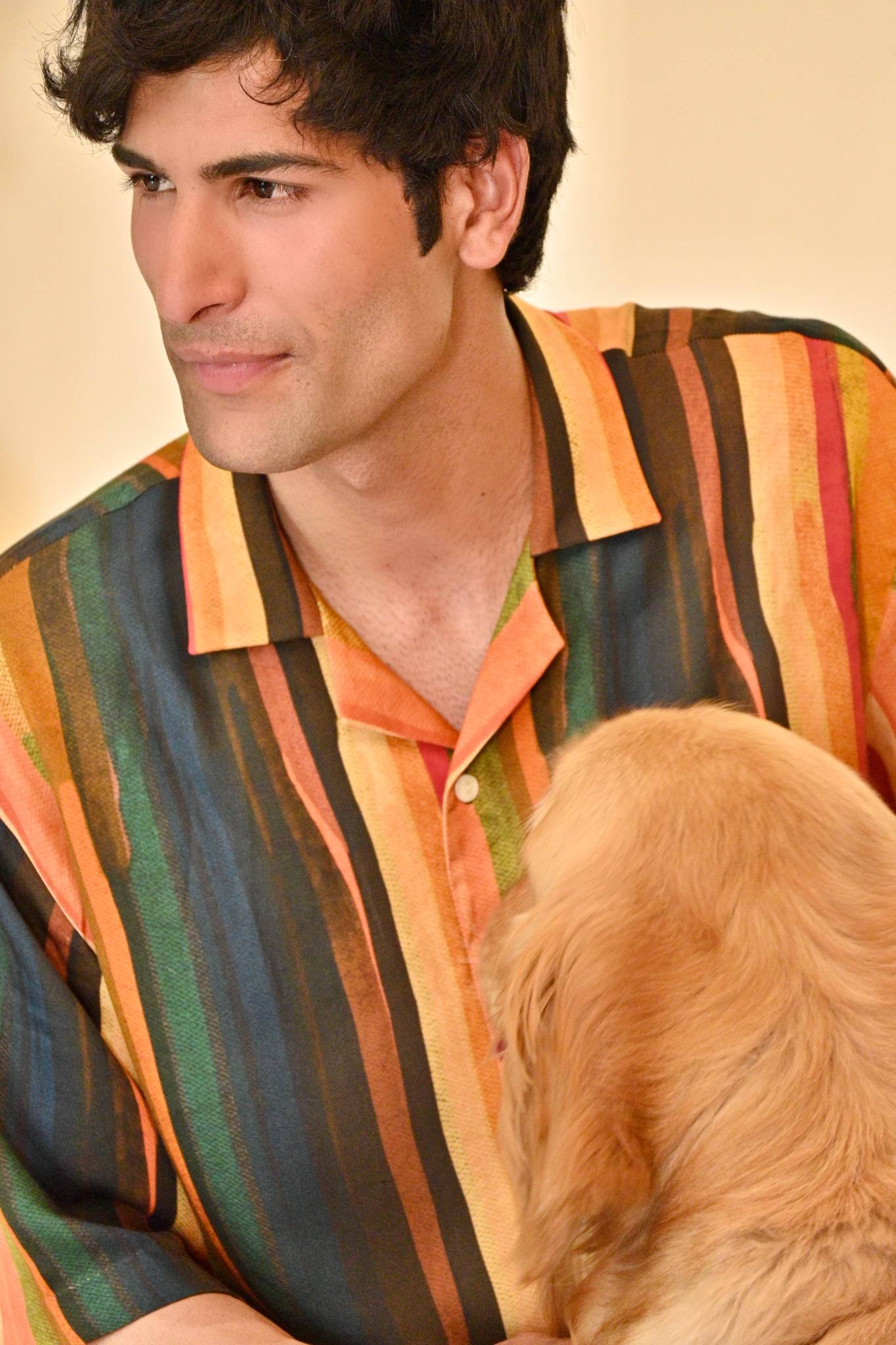Calico Stripe Shirt - Ted Ferde