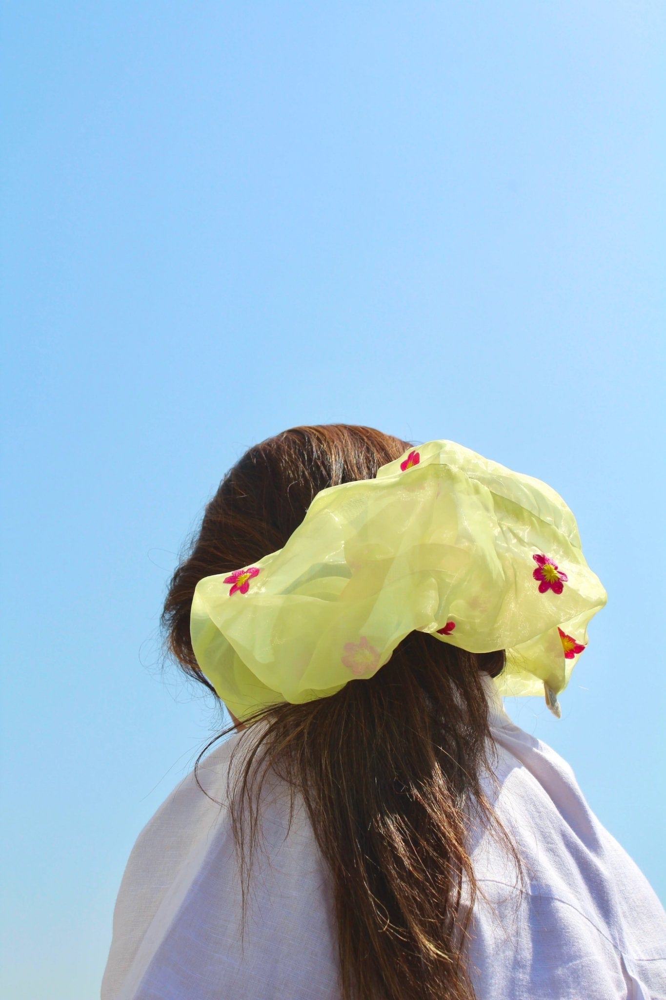 Barkis Scrunchie - Ted Ferde
